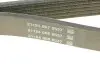 Ремінь генератора Ford Fiesta VI 08- DAYCO 6PK1029EE (фото 4)