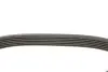 Ремінь генератора VW Caddy 1.6-2.0TDI 10-20 DAYCO 6PK1070 (фото 2)