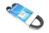 Ремінь генератора Ford Transit Connect 1.0 EcoBoost 13- DAYCO 6PK1500 (фото 1)