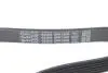 Ремінь генератора Opel Astra 1.7CDTi 03-/Renault Megane1.9 dCi 97-03 DAYCO 6PK1606 (фото 4)