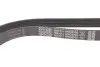 Ремінь генератора Hyundai Santa Fe/Kia Sorento 2.4 CVVT 09- DAYCO 6PK2576S (фото 4)