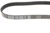 Ремінь генератора Fiat Scudo/Peugeot Expert 1.6 96-06 DAYCO 6PK880 (фото 2)
