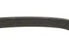 Ремінь генератора BMW 5 (E39)/7 (E38) 3.5i/4.4i 93-04/X5(E53) 4.4 i 00-03 DAYCO 7PK1633 (фото 3)