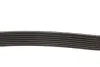 Ремінь генератора BMW 3(E90) 335i 06-11 DAYCO 7PK1853 (фото 2)