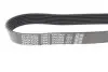 Ремінь генератора MB E-class (W212)/S-class (W221) 09- DAYCO 7PK2005 (фото 3)