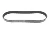 Ремінь генератора Land Rover Discovery 4.4 04-09/Range Rover 4.4 05-13 DAYCO 8PK848 (фото 1)