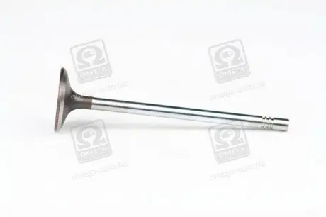 Клапан впускной SSANGYONG 6650530401