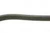 Ремінь генератора BMW 5 (E39)/7 (E38) 2.5TDS 96-04/Kia Cerato/Rio/Hyundai Accent 1.5/1.6CRDI 05- BOSCH 1 987 948 396 (фото 3)