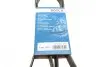 Ремінь генератора Ford Focus 1.8 TDCi 05-12/Skoda Octavia 1.4 i 99-01 (6PK1520) BOSCH 1 987 948 425 (фото 6)