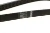 Ремінь генератора Ford Focus 1.8 TDCi 05-12/Skoda Octavia 1.4 i 99-01 (6PK1520) BOSCH 1 987 948 425 (фото 2)