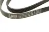 Ремінь генератора Ford Focus 1.8 TDCi 05-12/Skoda Octavia 1.4 i 99-01 (6PK1520) BOSCH 1 987 948 425 (фото 3)