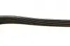 Ремінь генератора Ford Focus 1.8 TDCi 05-12/Skoda Octavia 1.4 i 99-01 (6PK1520) BOSCH 1 987 948 425 (фото 4)