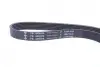Ремінь генератора Peugeot Partner 1.6 HDI 08-/Ford Connect 1.6TDCi 13- (+AC) FB 6PK975
