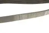 Ремінь генератора Renault Master/Opel Movano 2.3dCi 10-/Chrysler 300C 3.0 V6 CRD 10-12 (7PK2053) BOSCH 1 987 946 283 (фото 11)