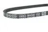 Ремінь генератора Suzuki Grand Vitara 2.0 4x4 98-03 DAYCO 3PK500 (фото 3)
