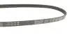 Ремінь генератора BMW 3 (E36)/5 (E39)/7 (E38) 2.5TD DAYCO 4PK780 (фото 2)