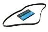 Ремінь генератора Honda Accord/Toyota Corolla 1.3/1.6 92-02 DAYCO 4PK820 (фото 1)