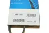 Ремінь генератора Toyota Camry/ Celica/ Rav4 1.8-2.0 83-00 DAYCO 5PK1000 (фото 6)