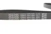 Ремінь генератора Fiat Ducato 2.5D/TD/TDI 94-02/Toyota Rav4 2.0 97-00/Audi A4/A5 12-15 DAYCO 5PK1090 (фото 3)