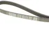 Ремінь генератора Renault Kangoo 1.4i 98-/ 1.6i 02- (-AC) DAYCO 5PK1110 (фото 3)