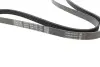 Ремінь генератора VW Passat B5/Audi A4/A6 1.9TDI 98- DAYCO 5PK1435 (фото 2)