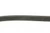 Фото 2 - ремінь генератора Rover 800 2.5 90-99 DAYCO 5PK1500 Ремінь генератора Rover 800 2.5 90-99 DAYCO 5PK1500 (фото 2)