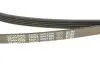 Фото 4 - ремінь генератора Rover 800 2.5 90-99 DAYCO 5PK1500 Ремінь генератора Rover 800 2.5 90-99 DAYCO 5PK1500 (фото 4)