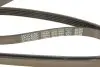 Ремінь генератора BMW 5 (E39)/7 (E38) 2.5TD/Kia Cerato 1.5-1.6CRDI 05- DAYCO 5PK1850 (фото 5)