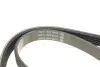 Ремінь генератора BMW 3/5 90-00 / Ford Focus 2.5 05-12 DAYCO 5PK890 (фото 3)