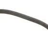 Ремінь генератора Opel Astra/Vectra 1.4/1.6i 88-95 DAYCO 5PK990 (фото 3)