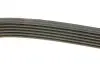 Ремінь генератора MB OM601/602 (-PS) DAYCO 6PK1000 (фото 2)