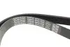 Ремінь генератора VW Caddy 1.9D/SDI -03 (WP,TP) DAYCO 6PK1035 (фото 3)