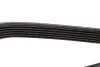 Ремінь генератора Nissan Primera/Fiat Marea 1.8-2.4JTD 96-02 DAYCO 6PK1105 (фото 4)