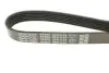 Ремінь генератора Peugeot Boxer 1.9TD DAYCO 6PK1152 (фото 4)