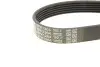 Ремінь генератора VW T5 3.2 V6 03-09 DAYCO 6PK1264 (фото 5)