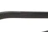 Ремінь генератора VW T4 2.4D -03 DAYCO 6PK1335 (фото 3)