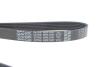 Ремінь генератора Citroen Berlingo/Peugeot Partner 1.6 HDi 05-15 DAYCO 6PK1341 (фото 4)