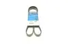 Ремінь генератора Citroen Berlingo/Jumpy/Peugeot Expert/Partner 1.6HDI 6PK1355