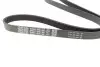 Ремінь генератора Citroen Berlingo/Fiat Scudo/Peugeot Partner 1.9D 98- DAYCO 6PK1388 (фото 2)