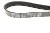 Ремінь генератора Ford Connect 1.8TDCI DAYCO 6PK1415 (фото 3)