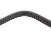 Ремінь генератора Ford Focus 1.8 TDCi 05-12/Skoda Octavia 1.4 i 99-01 DAYCO 6PK1520 (фото 3)