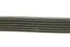 Ремінь генератора Citroen Berlingo 1.6 00-08/ Nemo 1.4i 08- DAYCO 6PK1558 (фото 2)