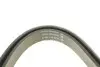 Ремінь генератора Citroen Berlingo 1.6 00-08/ Nemo 1.4i 08- DAYCO 6PK1558 (фото 3)