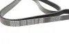 Ремінь генератора Citroen Berlingo/Peugeot Bipper/Partner (6PK1560/1565) DAYCO 6PK1565 (фото 2)