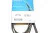 Ремінь генератора VW T4 2.0i 90-03 DAYCO 6PK1588 (фото 6)