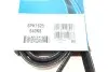 Ремінь генератора Opel Astra 1.7CDTI DAYCO 6PK1625 (фото 5)