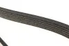 Ремінь генератора VW LT 2.5TDI 96-01/Peugeot Expert 1.9D/2.0HDI 98- DAYCO 6PK1750 (фото 4)
