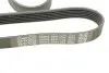 Ремінь генератора VW LT 2.5TDI 96-01/Peugeot Expert 1.9D/2.0HDI 98- DAYCO 6PK1755 (фото 4)