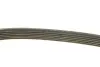 Ремінь генератора MB W202/210 M111/Ford Transit 2.301-06 DAYCO 6PK1775 (фото 3)