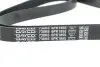 Ремінь генератора MB G-class (W461) M102 89-00 DAYCO 6PK1855 (фото 3)